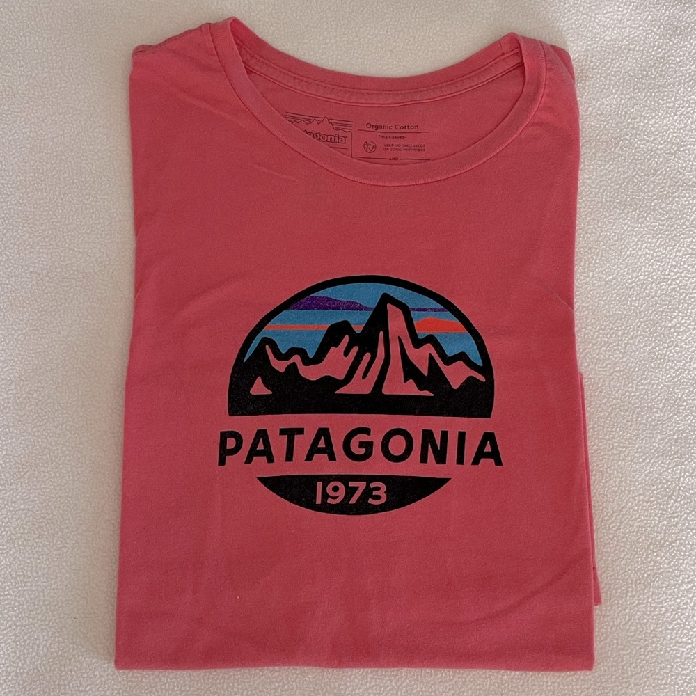 Men’s Patagonia Graphic Tee